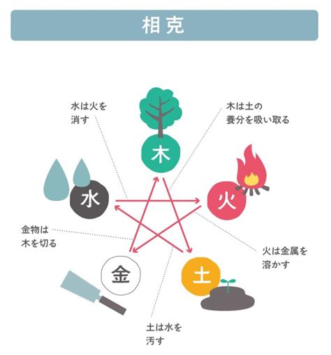 金剋木愛情|陽占から見る局法② 